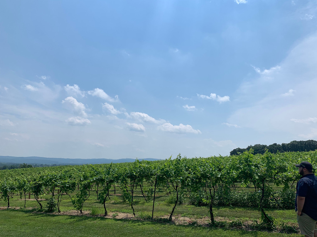 Tastings and Tours: Lehigh Valley - Berks County景点图片