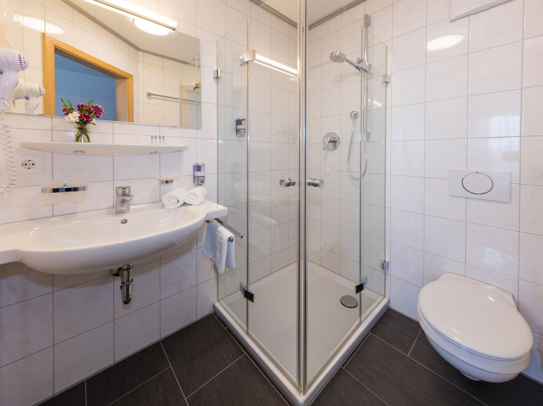 Gasthof Hotel zum Ochsen主图