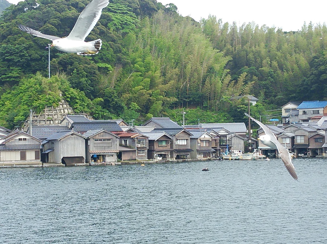 Tango Kairiku Kotsu Ine Bay Boat Tours景点图片