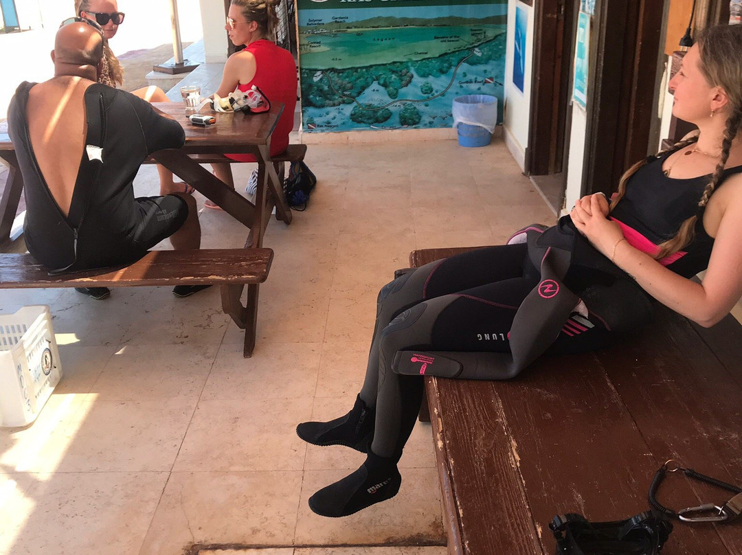 Millennium divers Sharm景点图片