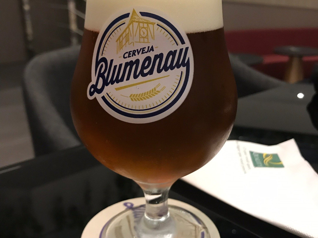 Quality Hotel Blumenau主图