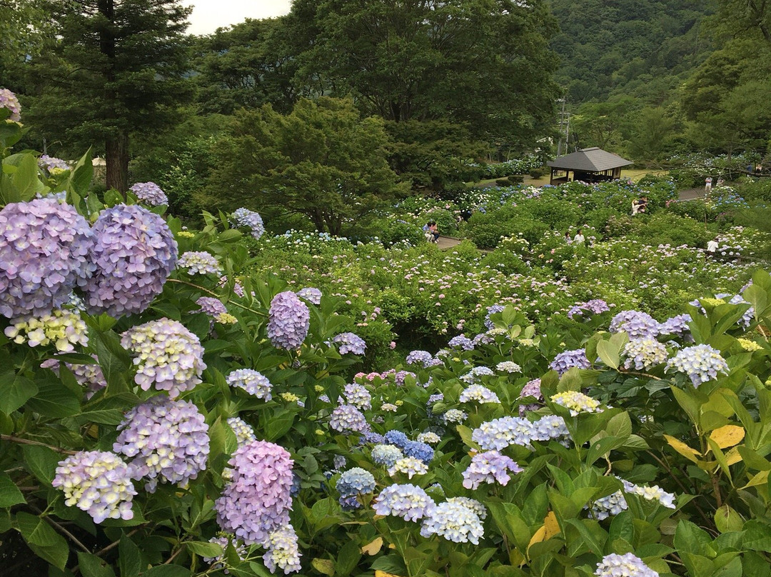 Maizuru Natural Cultural Park景点图片