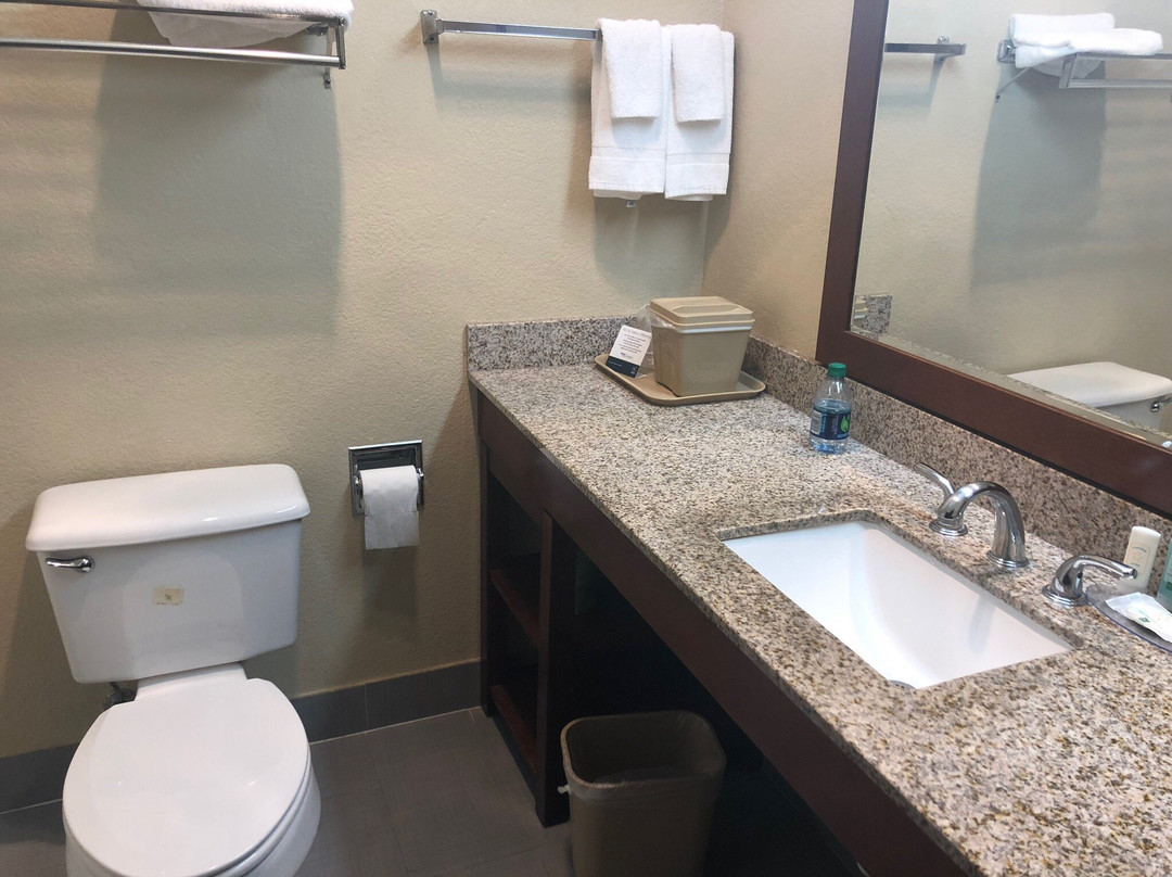 Quality Inn & Suites Terrell主图