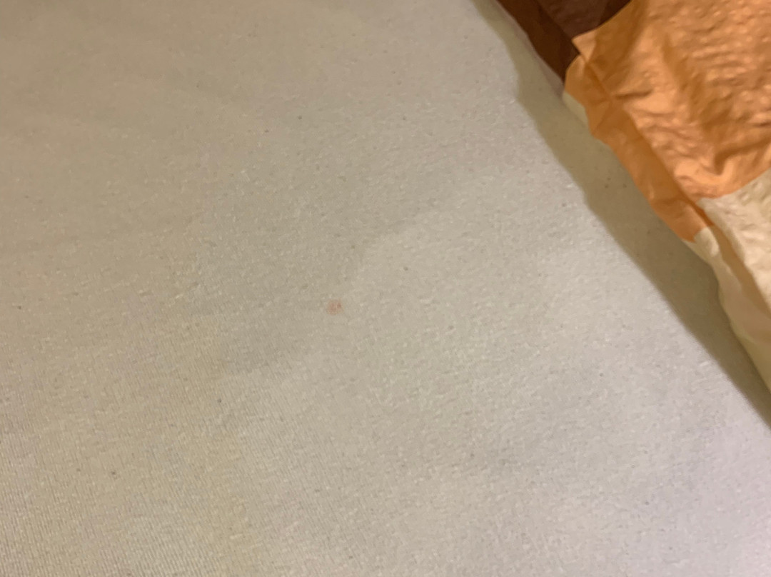 Jasmin Privatzimmer主图