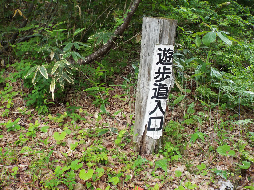 Yanohara Wetlands-昭和村必去景点