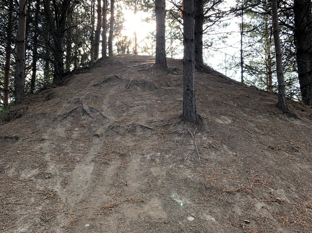 Puuvuori-Ylojarvi必去景点