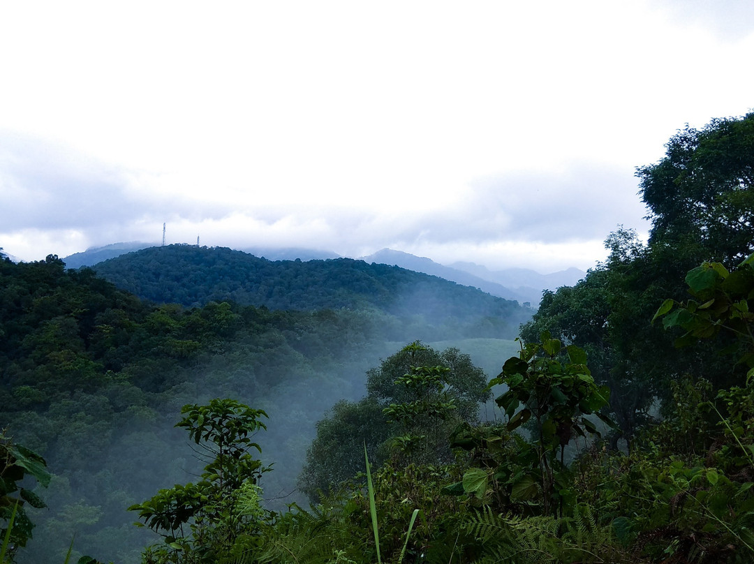 Rain Country Resorts主图