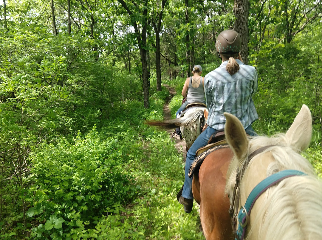 Wild 3L Ranch-Eagle必去景点