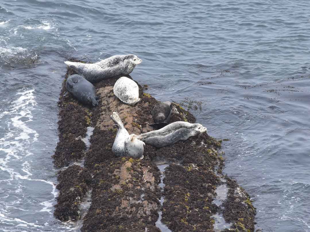 Point Arena - Stornetta Unit of the California Coastal National Monument景点图片