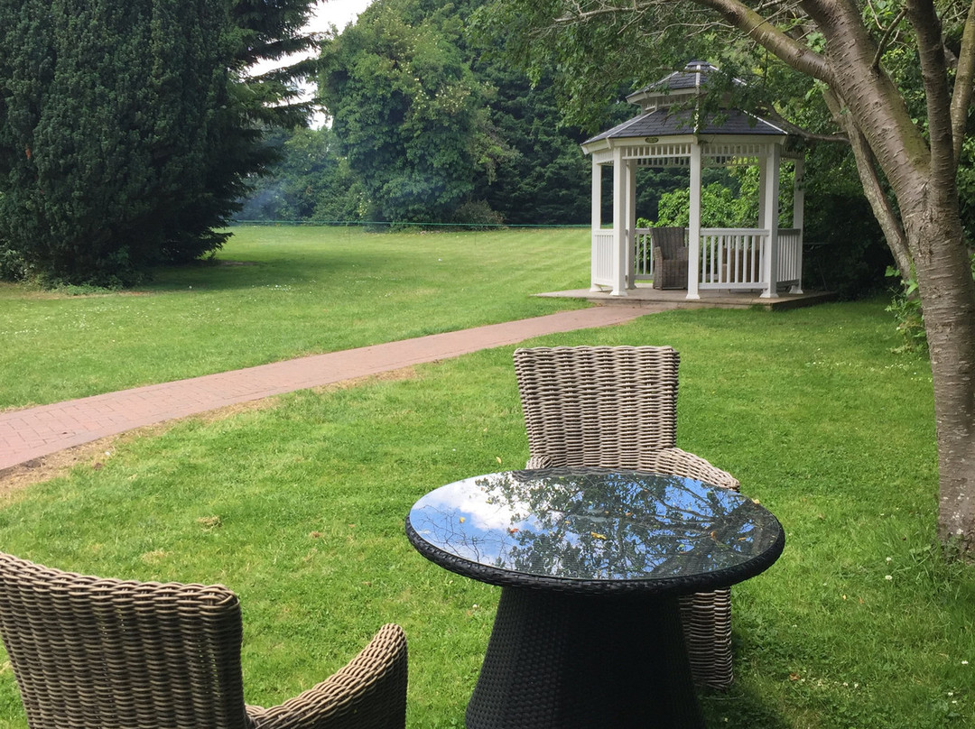 The Blue Pigeons主图