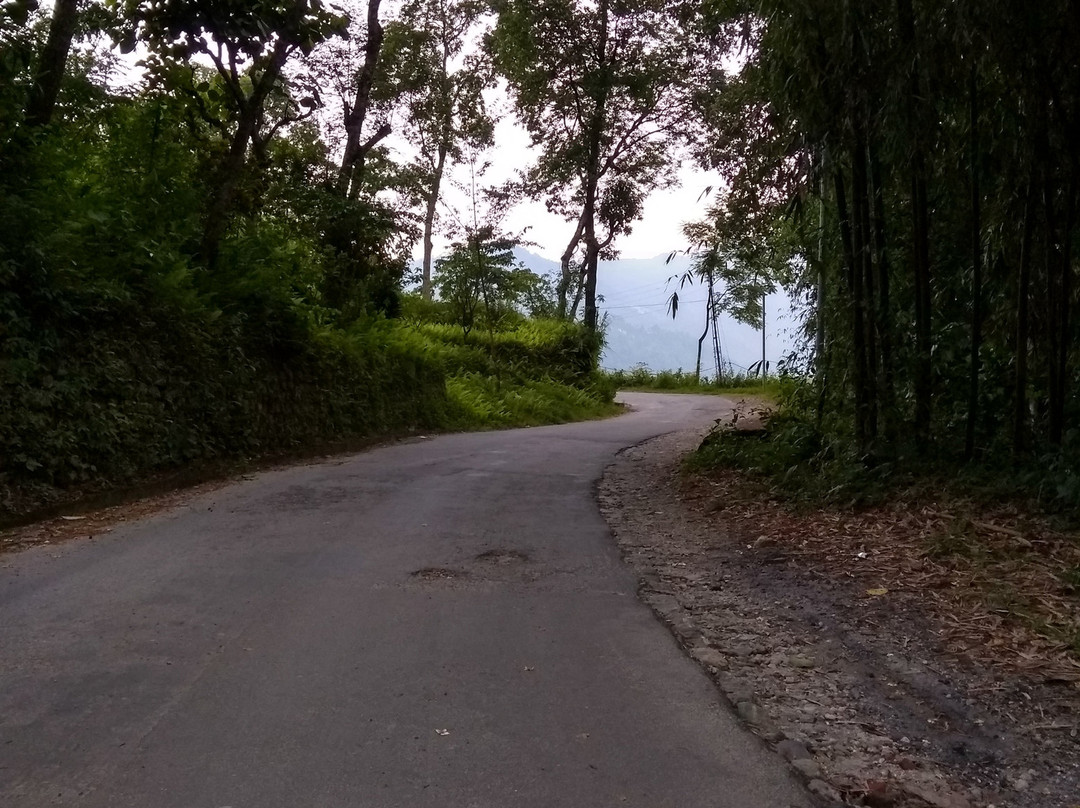 Saramsa Resort主图