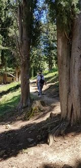 Funky Guest House主图