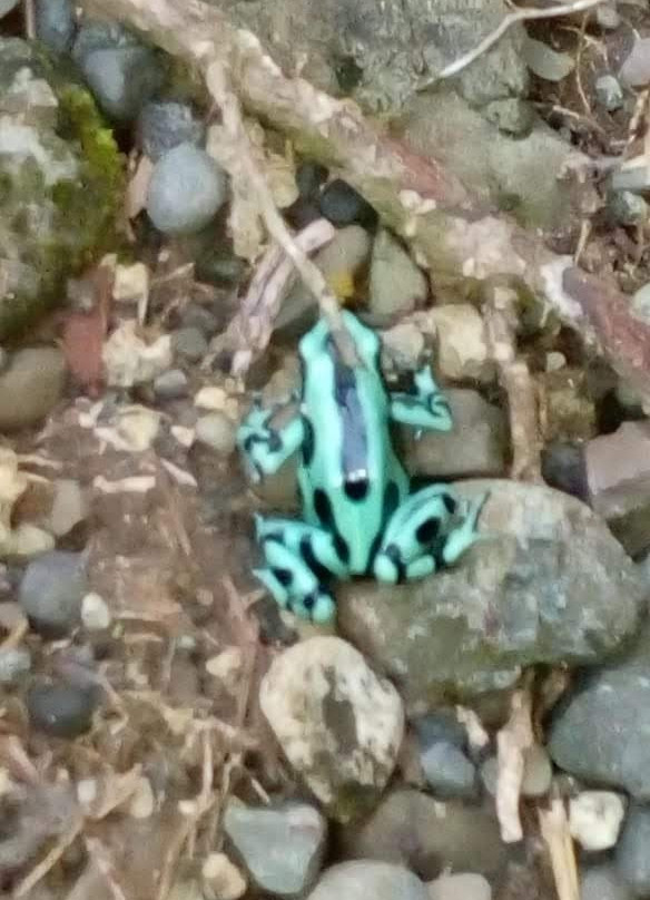 Ricky Ricardo Tours & Travels-彭塔雷纳斯必去景点