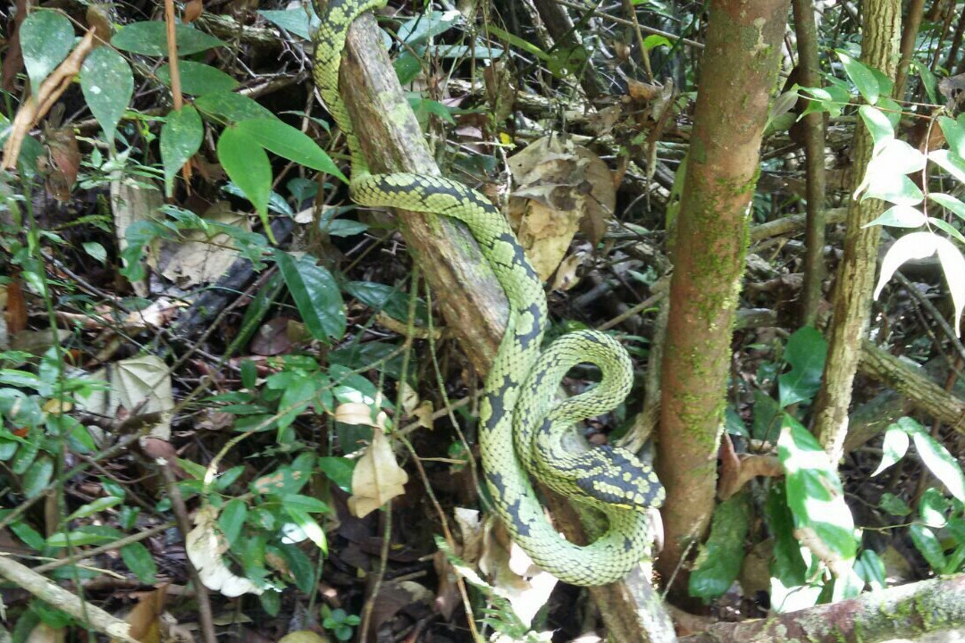 Day Tours Sri Lanka-班托塔必去景点