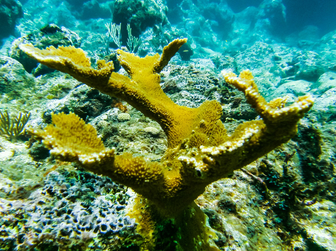 Las Galeras Divers-Las Galeras必去景点