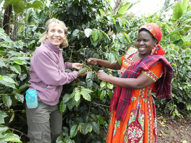 Tukuyu Tours Operator