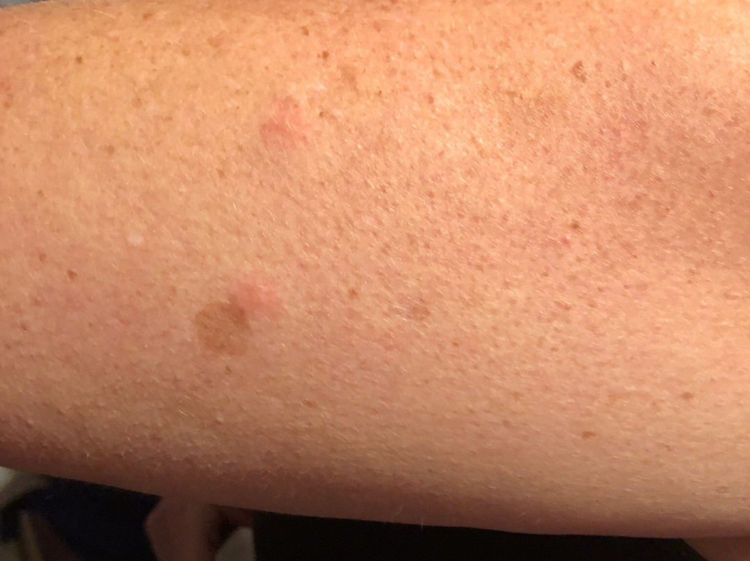 Holiday Inn Express Kernersville by IHG主图