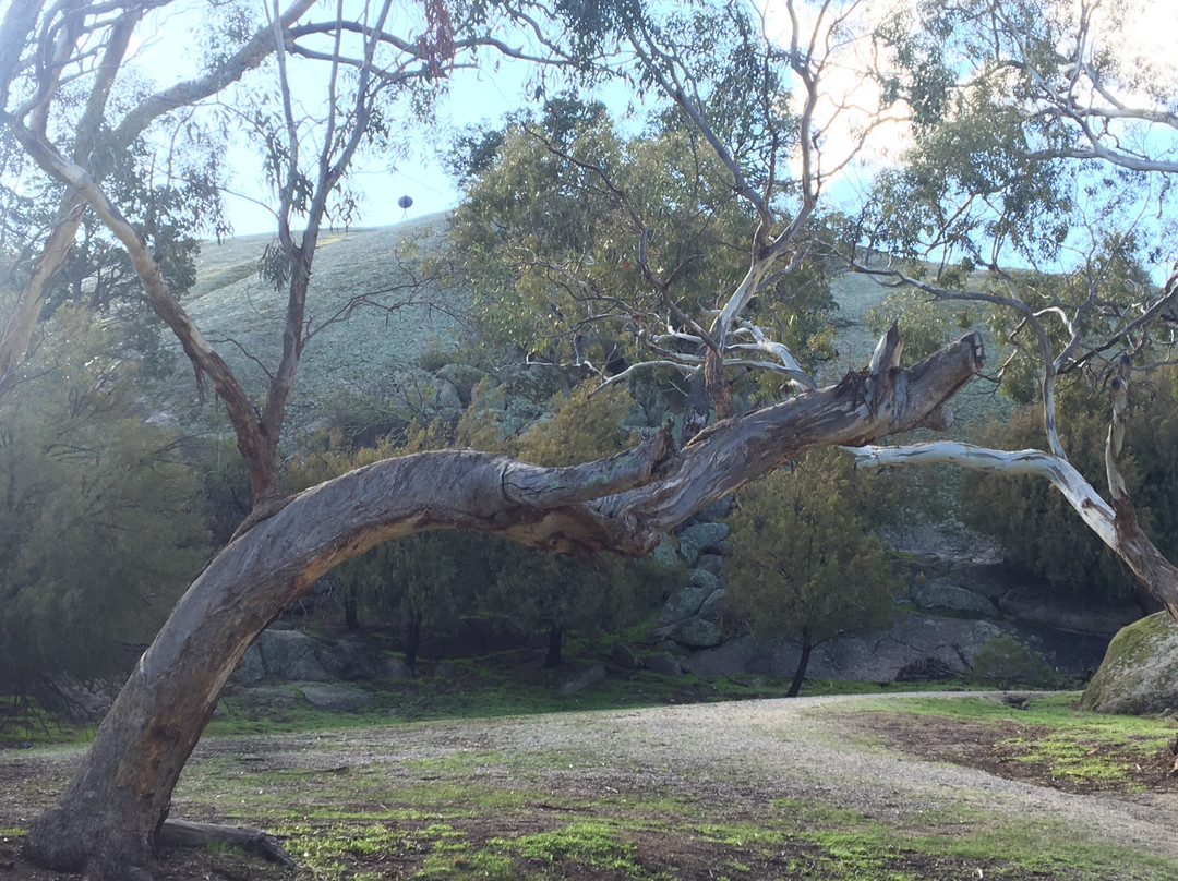 Serpentine旅游景点-Terrick Terrick National Park