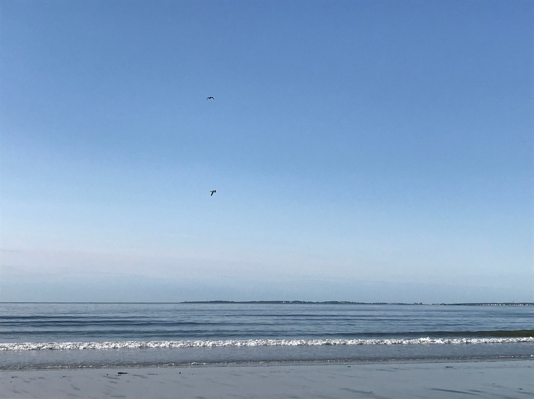 Lighthouse Suites at Pine Point主图