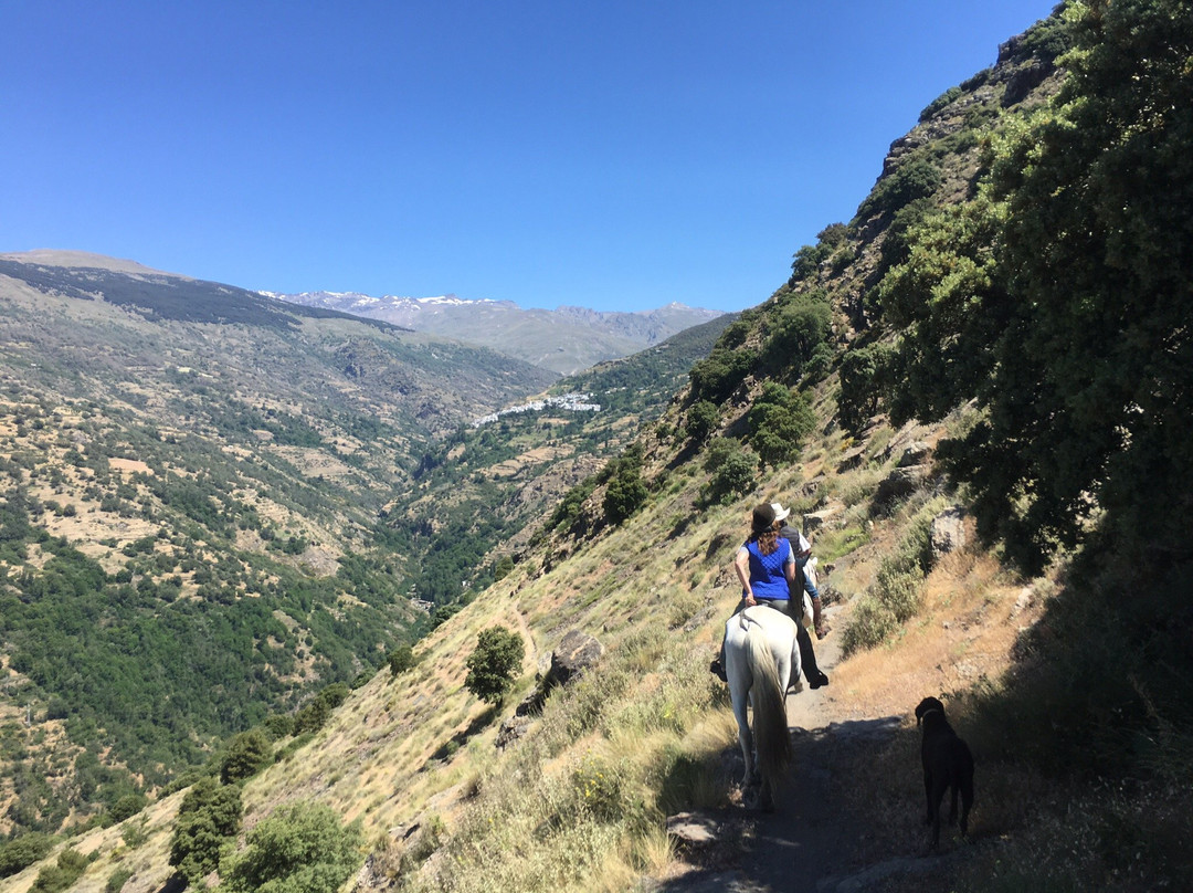 Riding Andalucia-布维翁必去景点