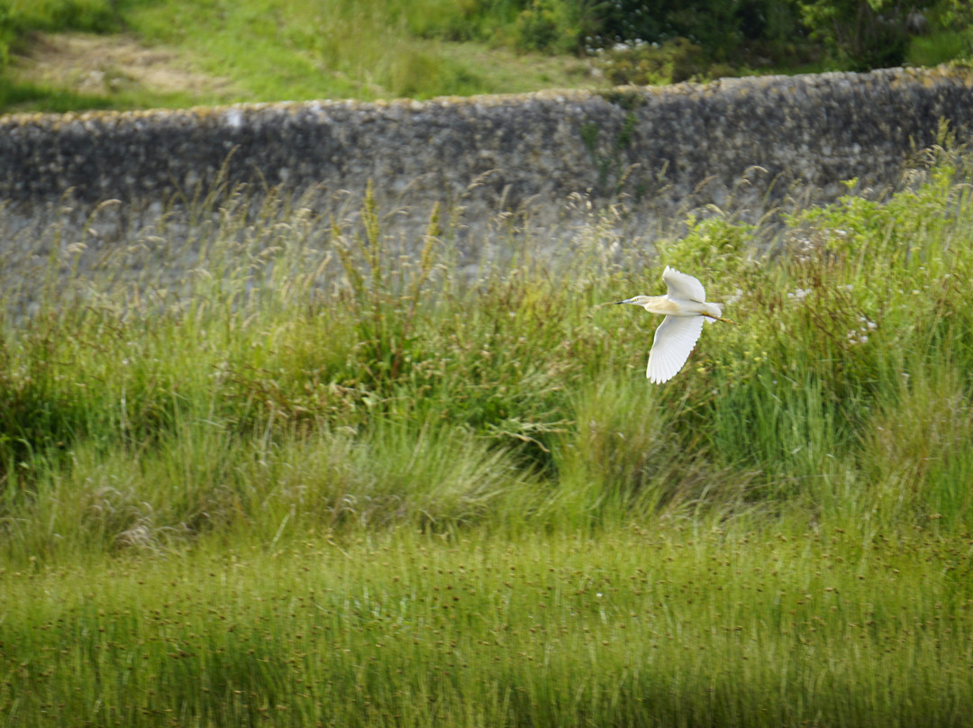 Bahía de Santander Ecoturismo-Camargo必去景点