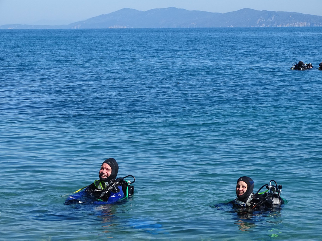 Diving Center Argentario Scuba Point景点图片