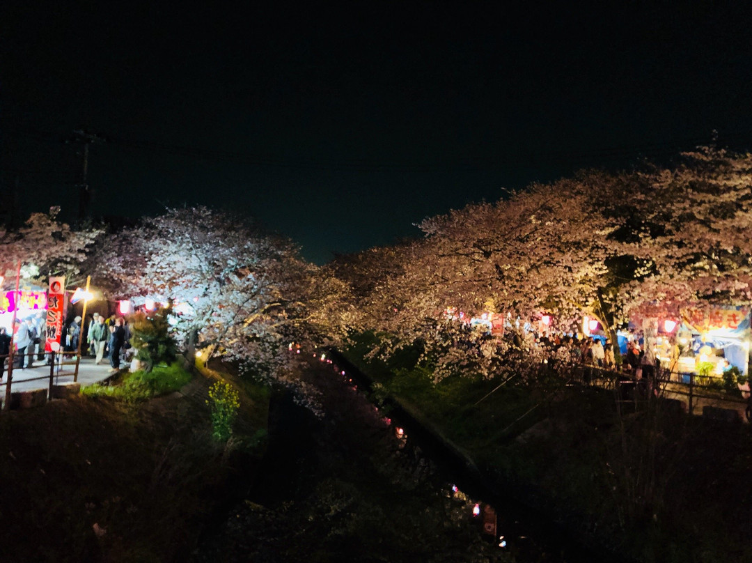 Ebi River-船桥市必去景点