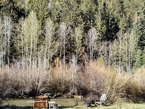 The Grant Motel主图