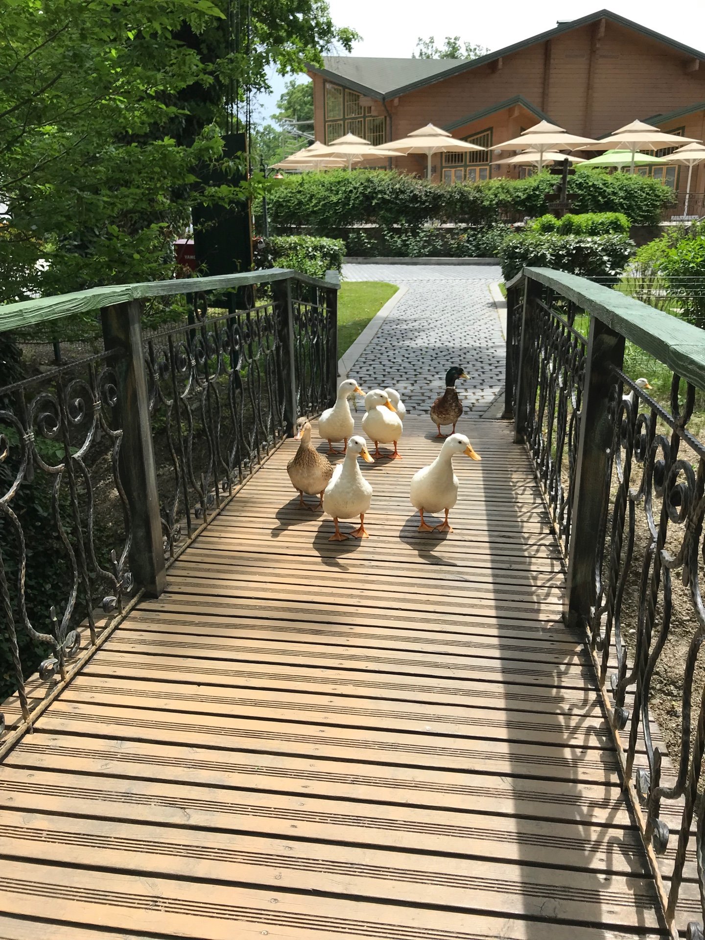 River Inn Resort And Spa-浴室