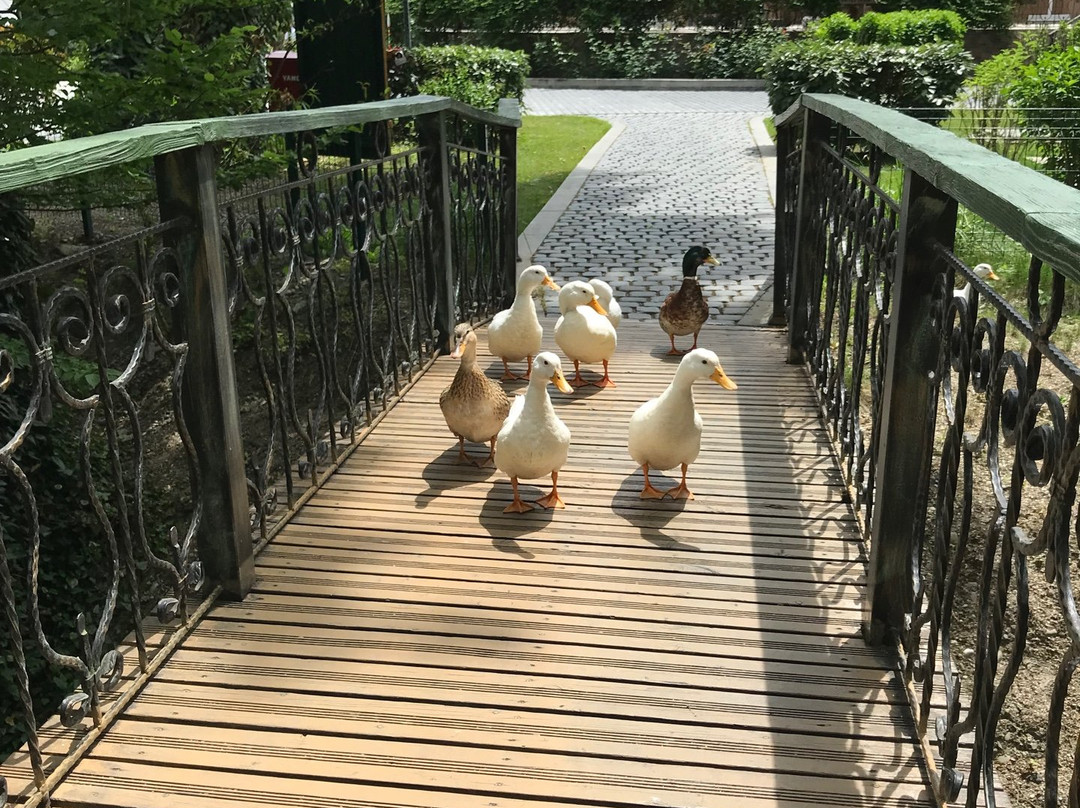 River Inn Resort And Spa主图