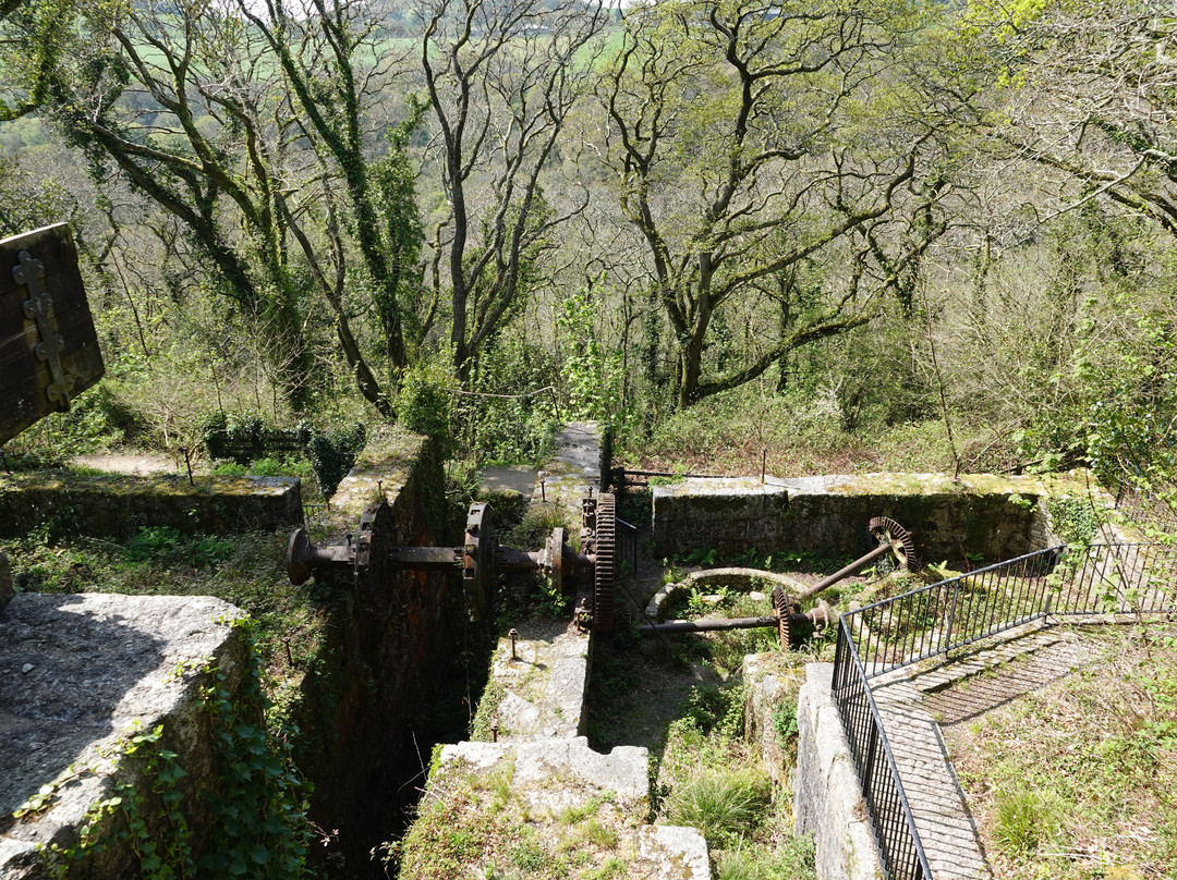 Luxulyan Valley to Prideaux Circular Walk-St Blazey必去景点