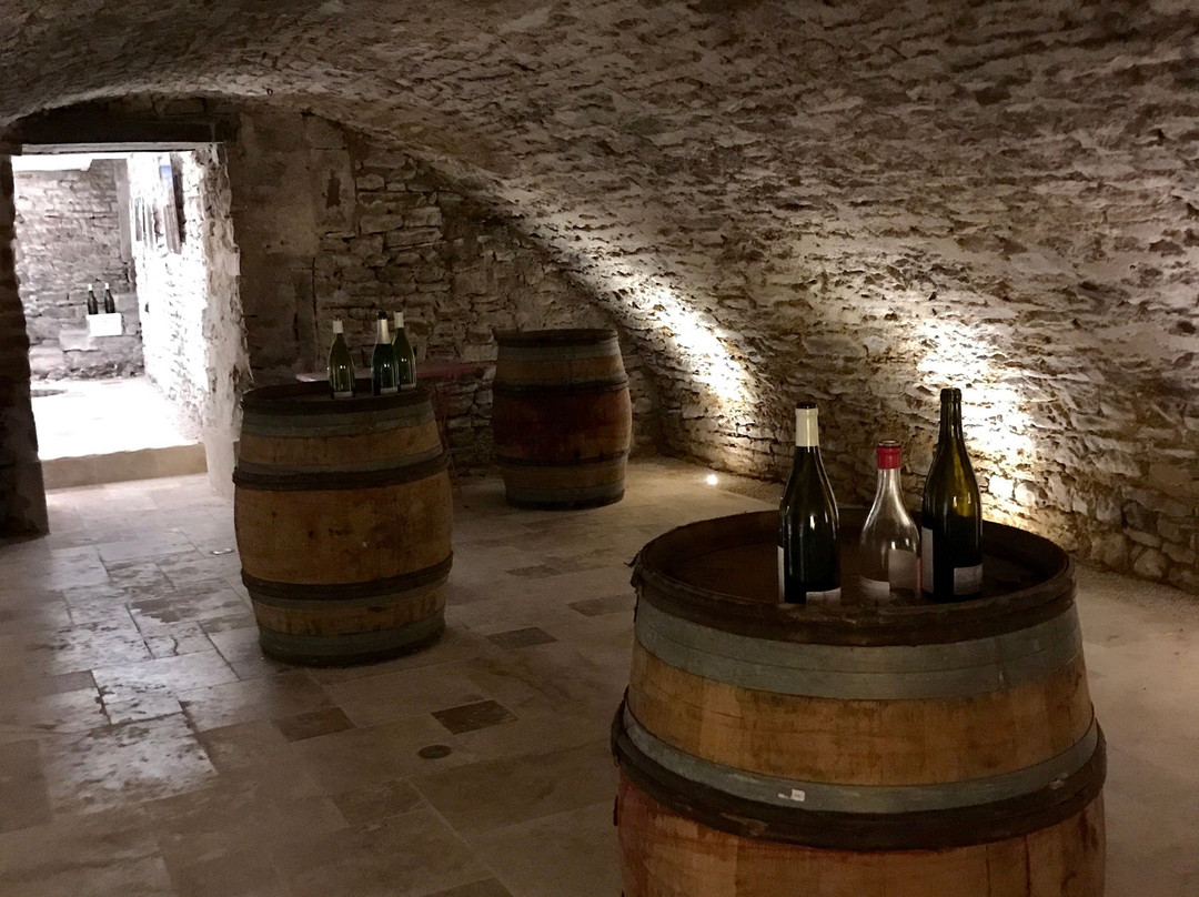 Vins Coudurier Jung景点图片