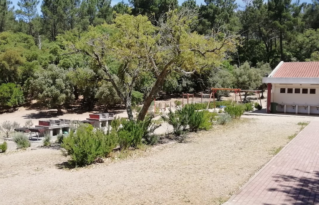 Parque Municipal Cabeço de Montachique景点图片