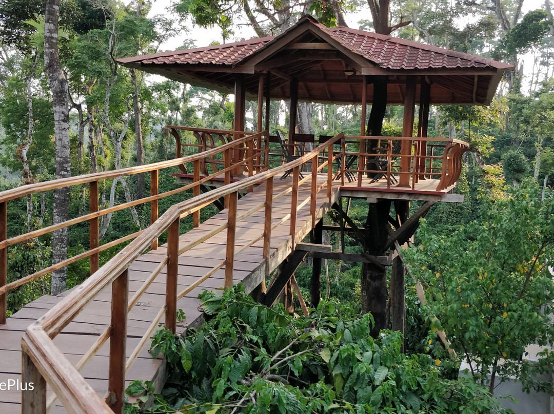 Ibbani Cadu Estate Homestay主图