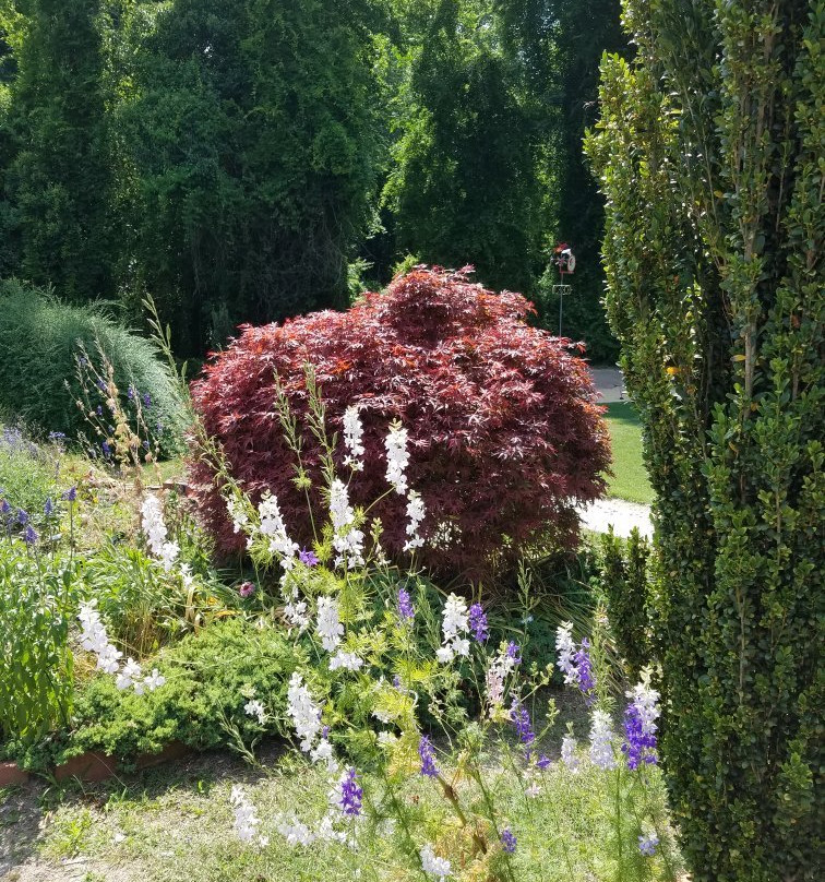 Wilson Botanical Gardens景点图片