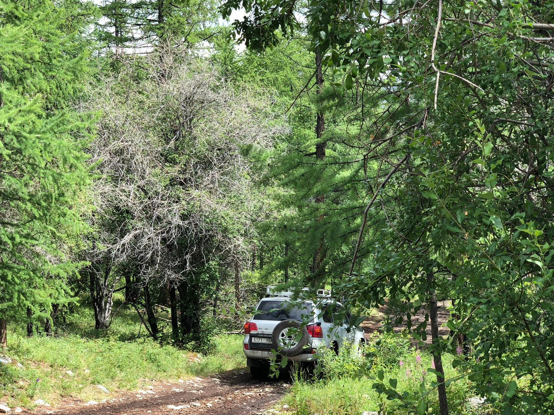Mongol Drive - Driver and Accomdation booking service Mongolia-乌兰巴托必去景点