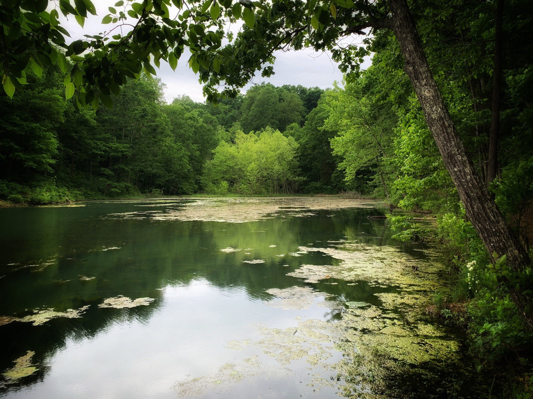 Saunders Springs Nature Preserve-Radcliff必去景点