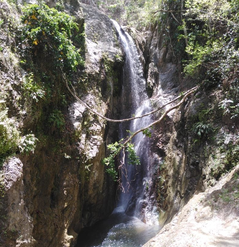 Tobago Off-Road Expeditions-斯卡伯勒必去景点