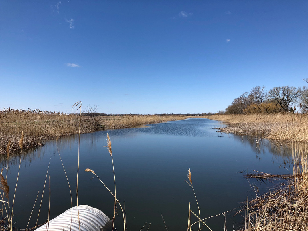 Big Creek National Wildlife Area景点图片