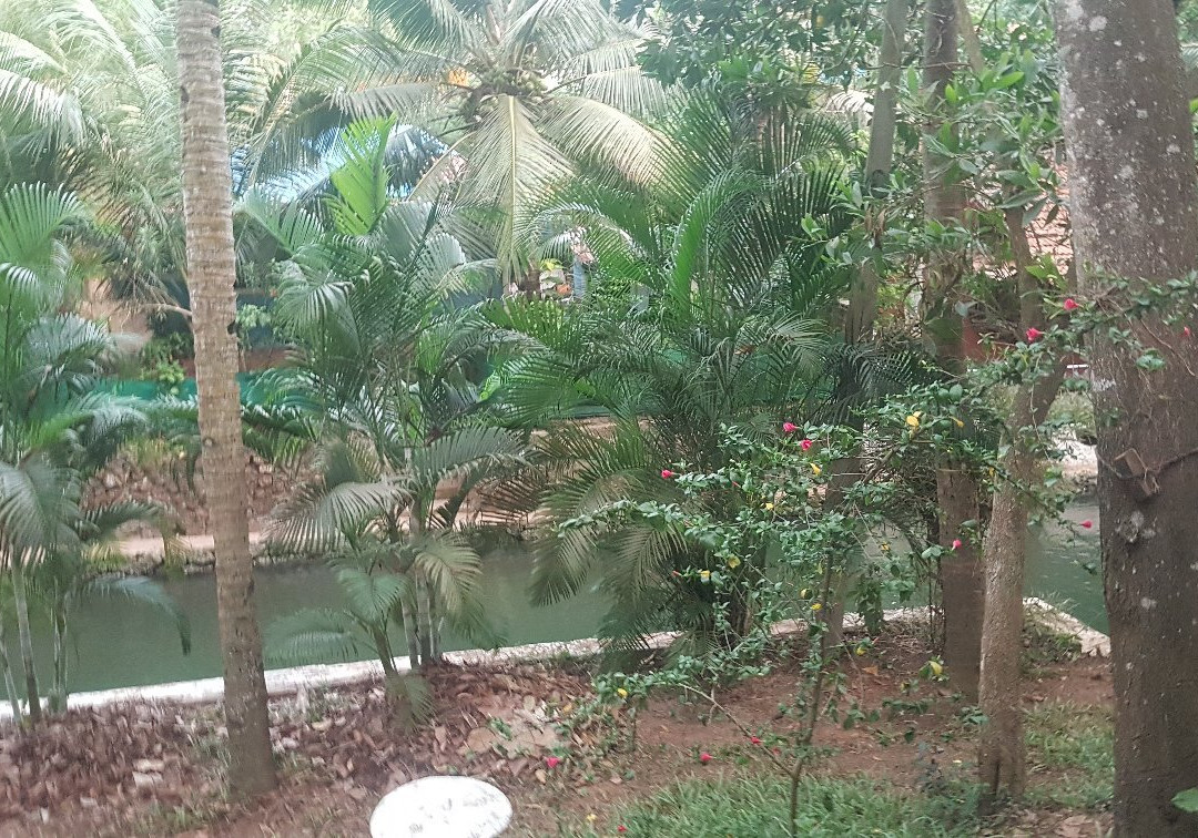 Chavara酒店住宿-Roomy's Convention Center