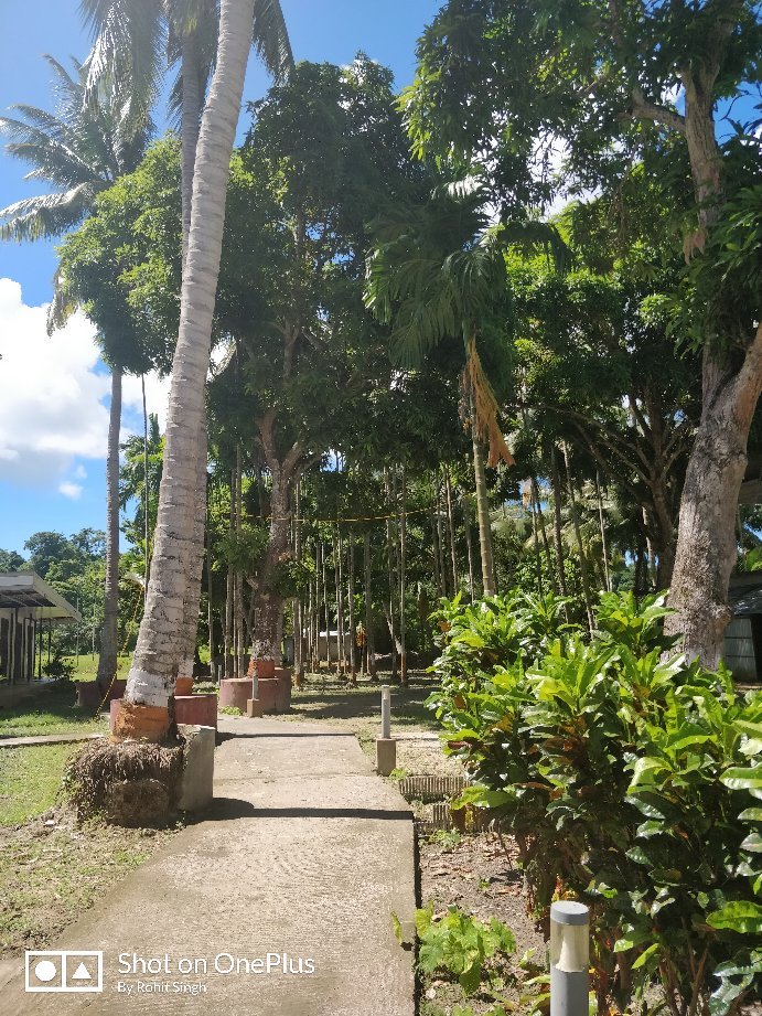 Vacation Village Resort-官方