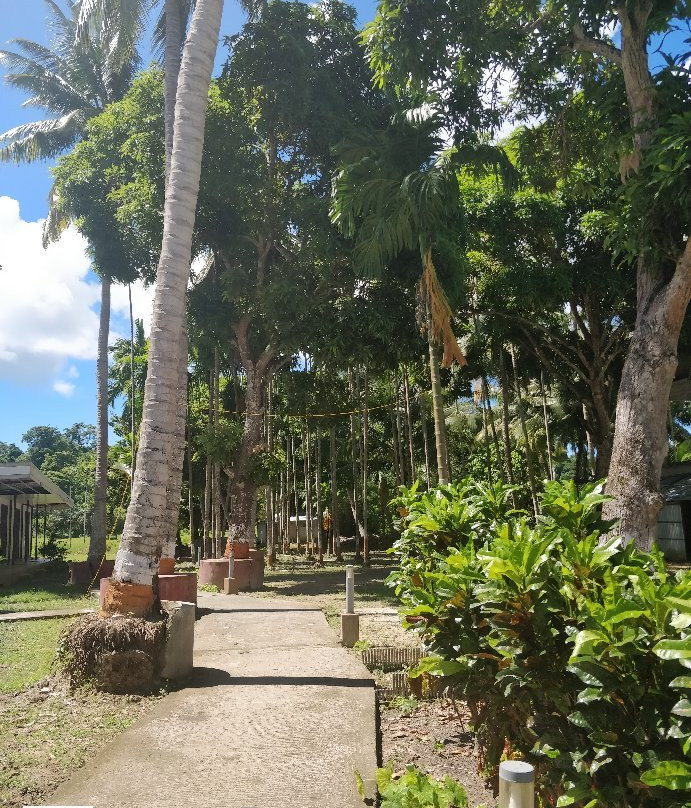 Vacation Village Resort主图