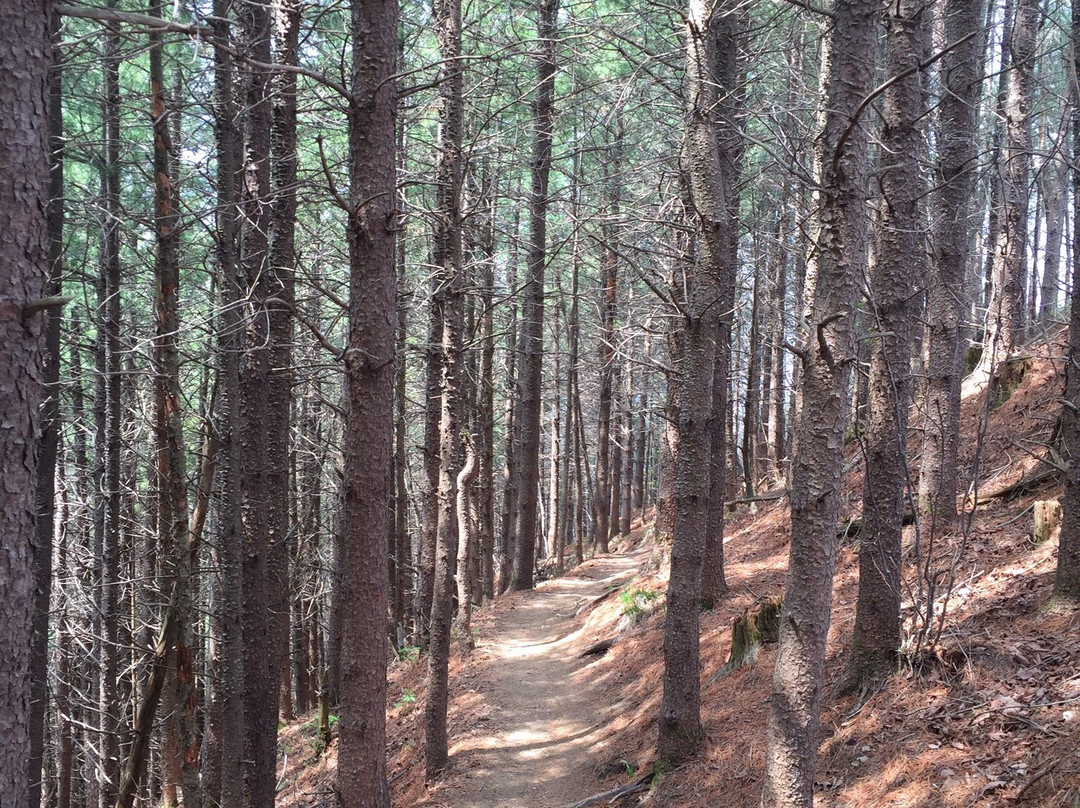 Sobaeksan National Park Samga-荣州市必去景点