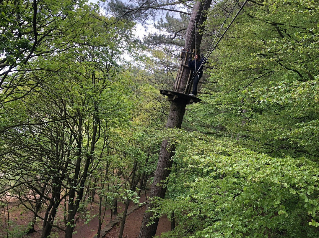 Go Ape Rivington-博尔顿必去景点