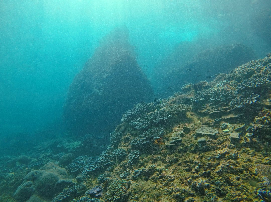 Freestyle Divers Khasab-海塞卜必去景点