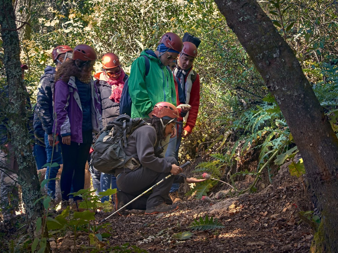 Parque Natural El Rey-Tlaxco必去景点