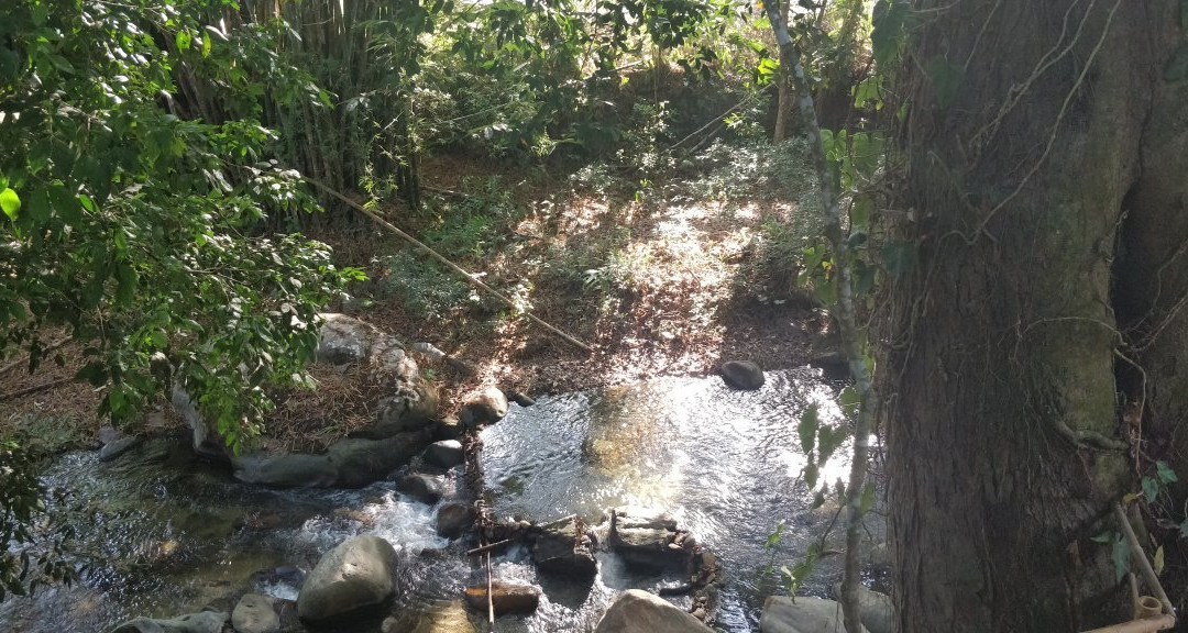 La Casa Del Pozo Azul主图