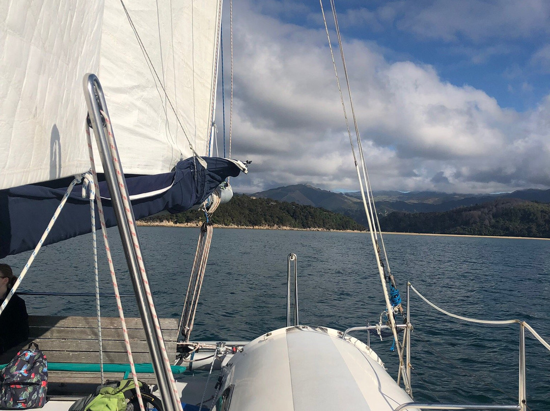 Abel Tasman Sailing Adventures-凯特里特里必去景点