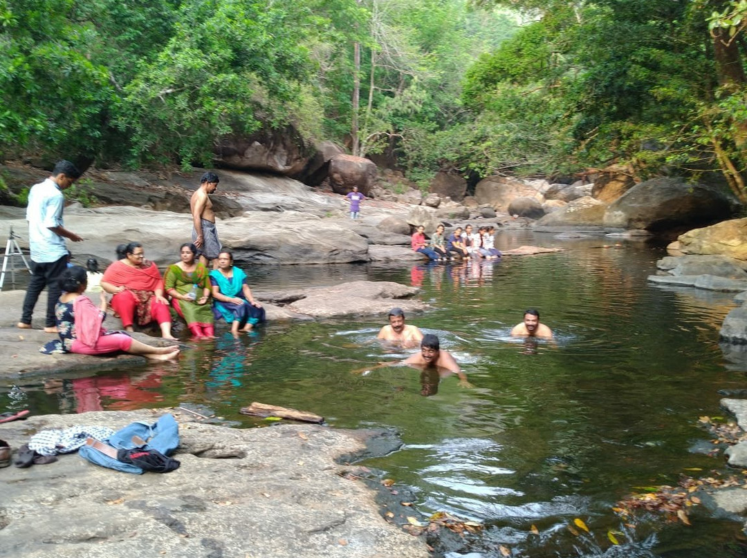 Thommankuthu Waterfalls景点图片