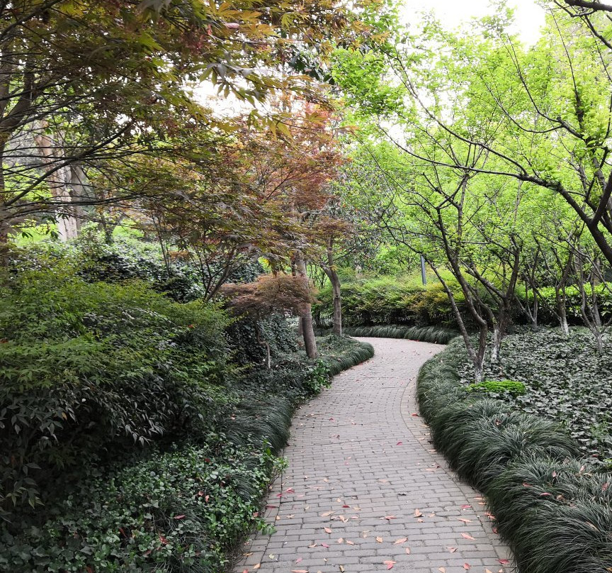 赭山公园-芜湖必去景点